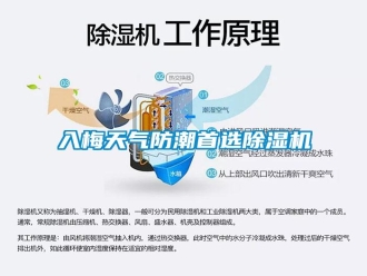 行業(yè)新聞入梅天氣防潮首選除濕機