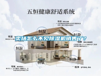 常見(jiàn)問(wèn)題賣(mài)場(chǎng)怎么不見(jiàn)除濕機(jī)銷(xiāo)售了？