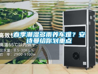 企業(yè)新聞春季潮濕多雨養(yǎng)車難？安詩曼給你劃重點
