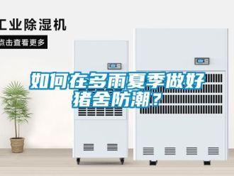 常見(jiàn)問(wèn)題如何在多雨夏季做好豬舍防潮？