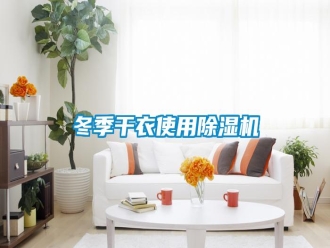 企業(yè)新聞冬季干衣使用除濕機(jī)