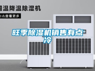 知識(shí)百科旺季除濕機(jī)銷(xiāo)售有點(diǎn)冷