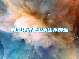 企業(yè)新聞潮濕環(huán)境是蟲的生存良地