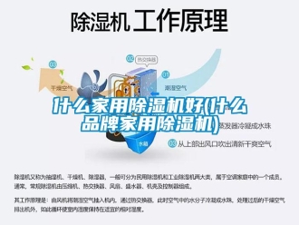 企業(yè)新聞什么家用除濕機好(什么品牌家用除濕機)