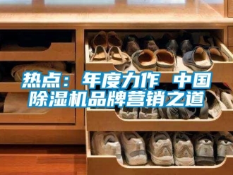行業(yè)新聞熱點(diǎn)：年度力作 中國(guó)除濕機(jī)品牌營(yíng)銷之道