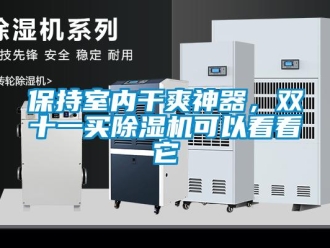 企業(yè)新聞保持室內(nèi)干爽神器，雙十一買除濕機(jī)可以看看它