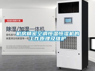 行業(yè)新聞機(jī)房精密空調(diào)恒溫恒濕機(jī)的工作原理及維護(hù)