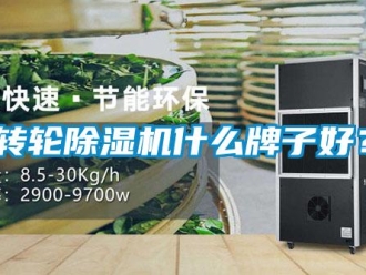 知識百科轉(zhuǎn)輪除濕機(jī)什么牌子好？