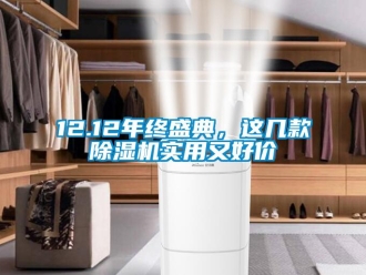 企業(yè)新聞12.12年終盛典，這幾款除濕機實用又好價