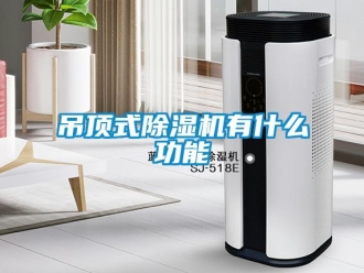 行業(yè)新聞吊頂式除濕機(jī)有什么功能
