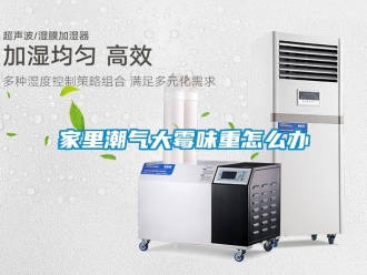 常見問題家里潮氣大霉味重怎么辦