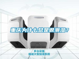知識(shí)百科重慶為什么總是很潮濕？