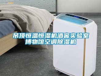知識百科吊頂恒溫恒濕機酒窖實驗室博物館空調(diào)除濕機